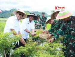 Sekda Provinsi Gorontalo Kunjungi Yonif TP 824/MO’E’A, Panen Bersama Wujudkan Ketahanan Pangan Nasional